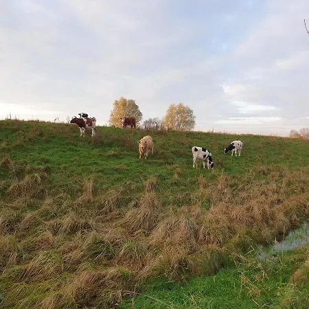 Апартаменты Elbkoje